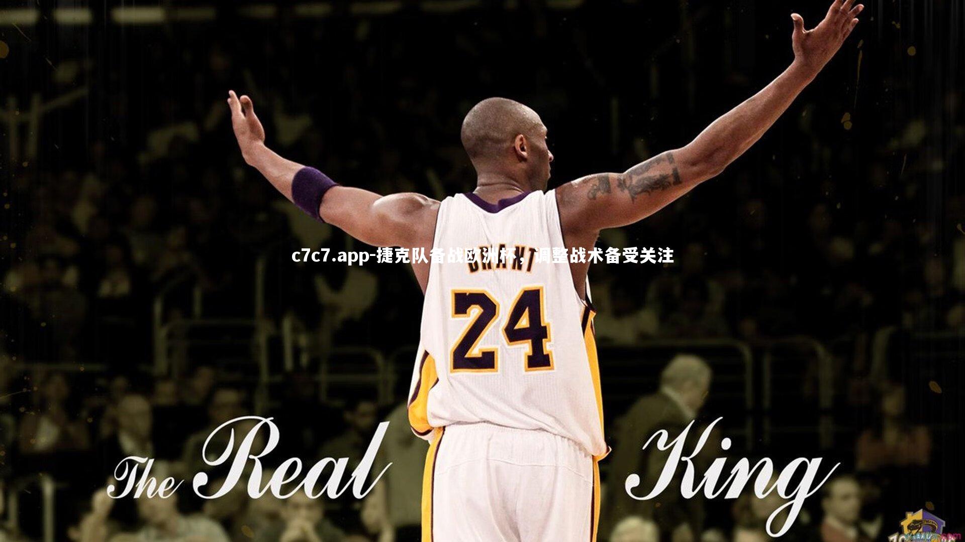 捷克队备战欧洲杯，调整战术备受关注