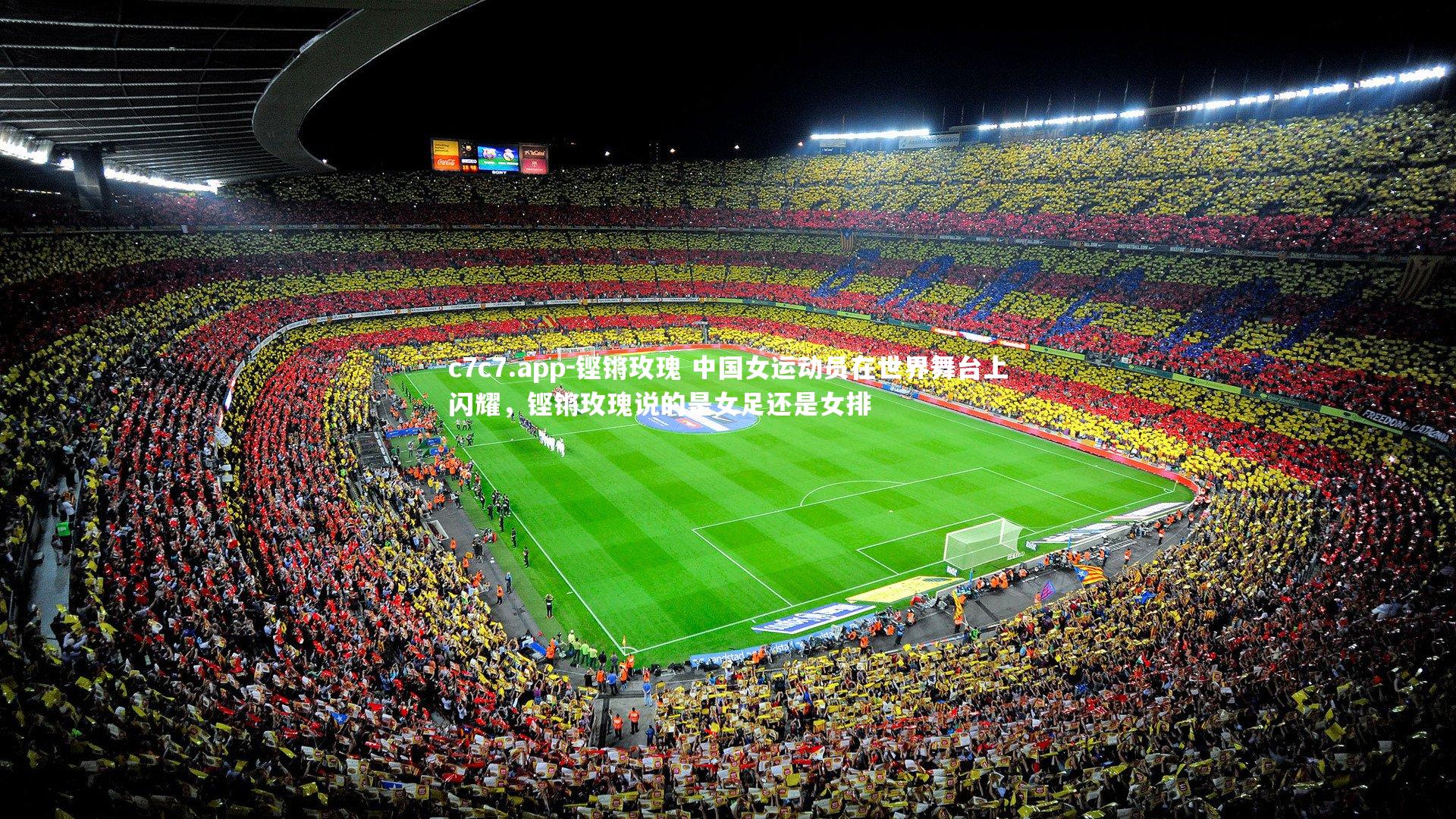 铿锵玫瑰 中国女运动员在世界舞台上闪耀，铿锵玫瑰说的是女足还是女排