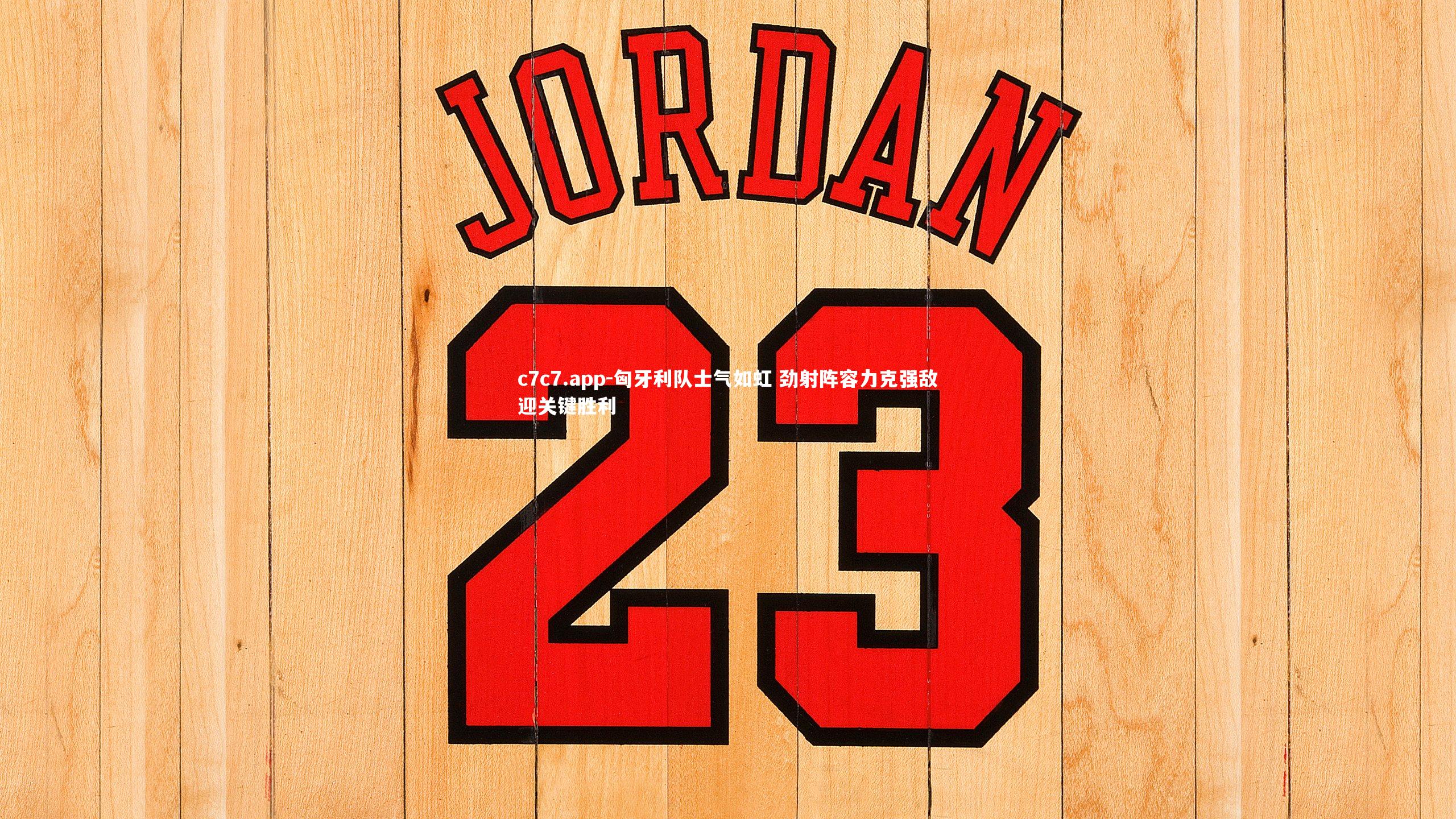 匈牙利队士气如虹 劲射阵容力克强敌迎关键胜利